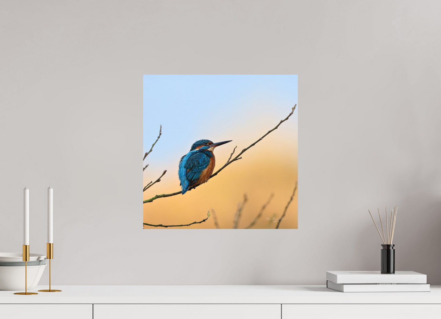 40 x 40 cm, Hahnemuhle Photo Rag Ultra Smooth Common Kingfisher II, RSPB Lakenheath Fen, East Anglia, UK, 2024