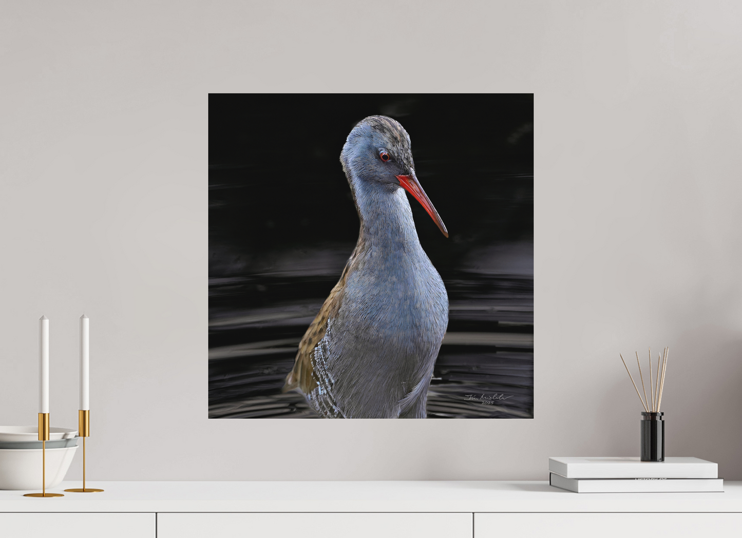 50 x 50 cm, Hahnemuhle Photo Rag Ultra Smooth Water Rail, RSPB Fowlmere, East Anglia, UK, 2025
