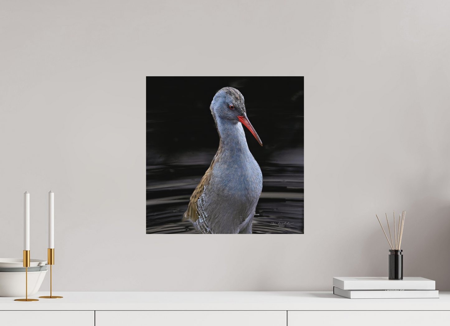 40 x 40 cm, Fuji Matt Water Rail, RSPB Fowlmere, East Anglia, UK, 2025