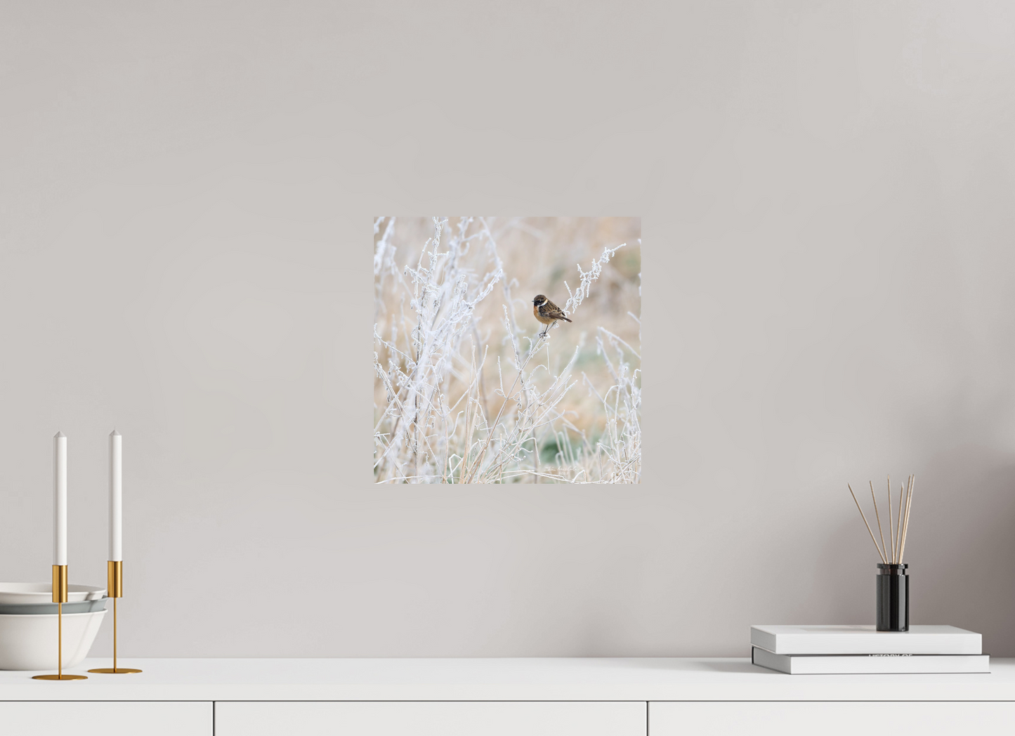 30 x 30 cm, Hahnemuhle Photo Rag Ultra Smooth Stonechat, Burwell Fen, East Anglia, UK, 2025