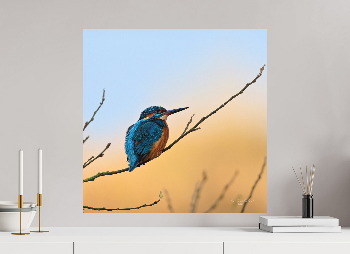 60 x 60 cm, Hahnemuhle Photo Rag Ultra Smooth Common Kingfisher II, RSPB Lakenheath Fen, East Anglia, UK, 2024