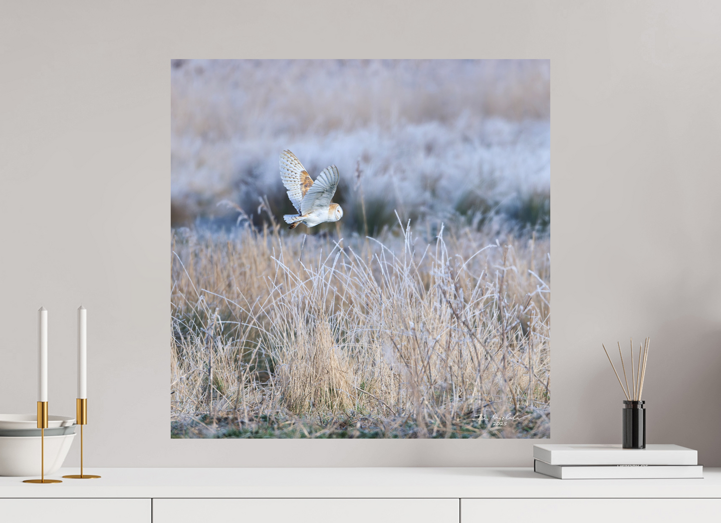 60 x 60 cm, Hahnemuhle Photo Rag Ultra Smooth Barn Owl, Burwell Fen, East Anglia, UK, 2025