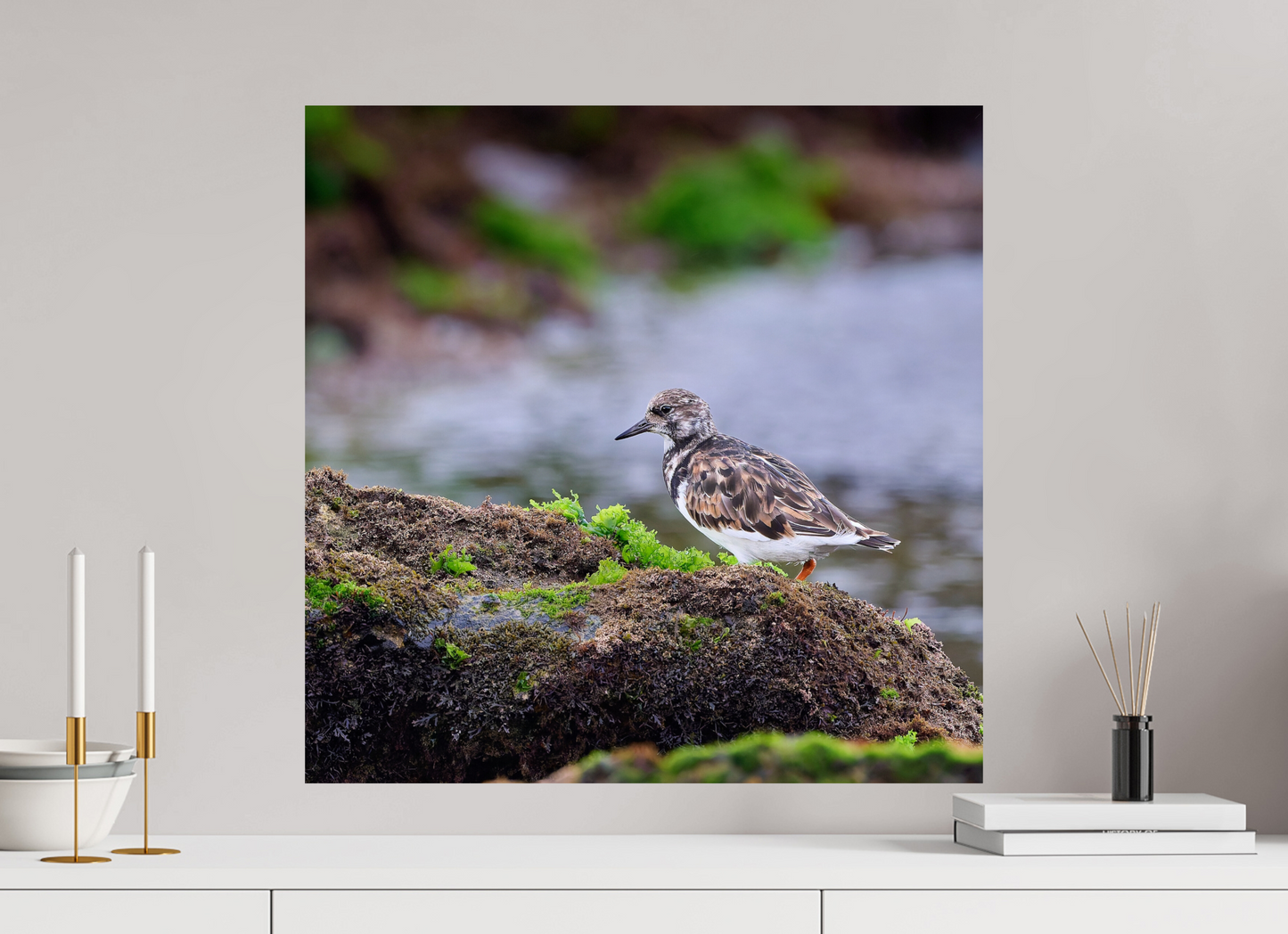 60 x 60 cm, Fuji Glossy Turnstone, Farol do Cabo Raso, Portugal, 2024