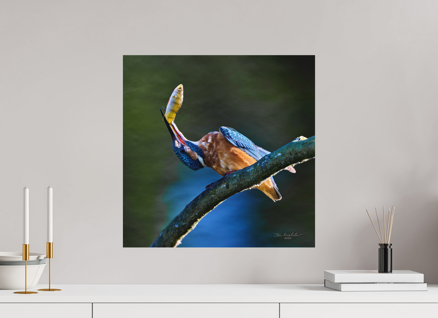 50 x 50 cm, Hahnemuhle Photo Rag Ultra Smooth Common Kingfisher IV, RSPB Lakenheath Fen, East Anglia, UK, 2024