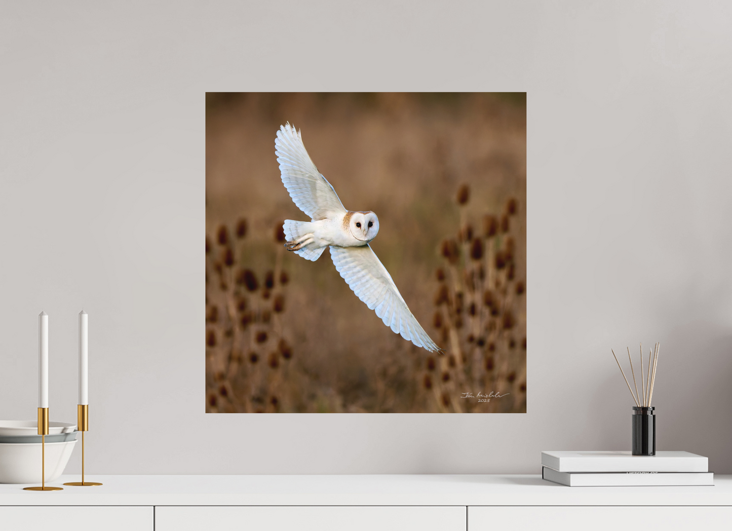 50 x 50 cm, Hahnemuhle Photo Rag Ultra Smooth Barn Owl, Burwell Fen, East Anglia, UK, 2025