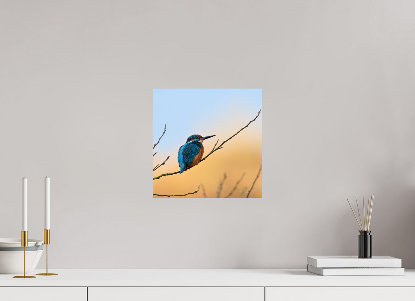 30 x 30 cm, Fuji Glossy Common Kingfisher II, RSPB Lakenheath Fen, East Anglia, UK, 2024
