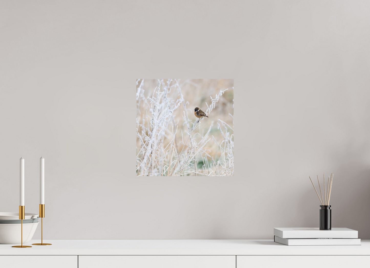 30 x 30 cm, Fuji Glossy Stonechat, Burwell Fen, East Anglia, UK, 2025