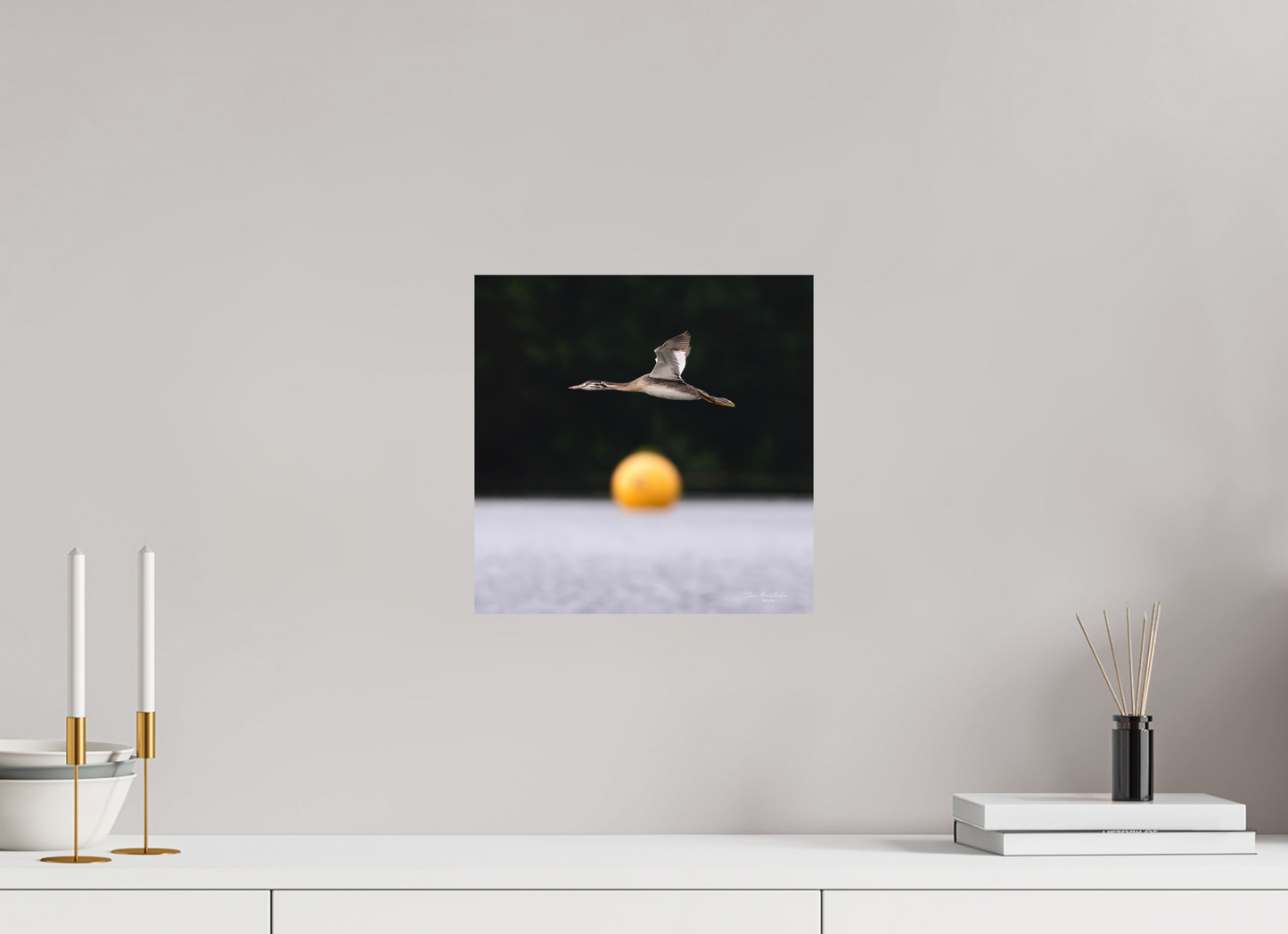 30 x 30 cm, Hahnemuhle Photo Rag Ultra Smooth Great Crested Grebe, Pennington Flash, Greater Manchester, UK, 2024