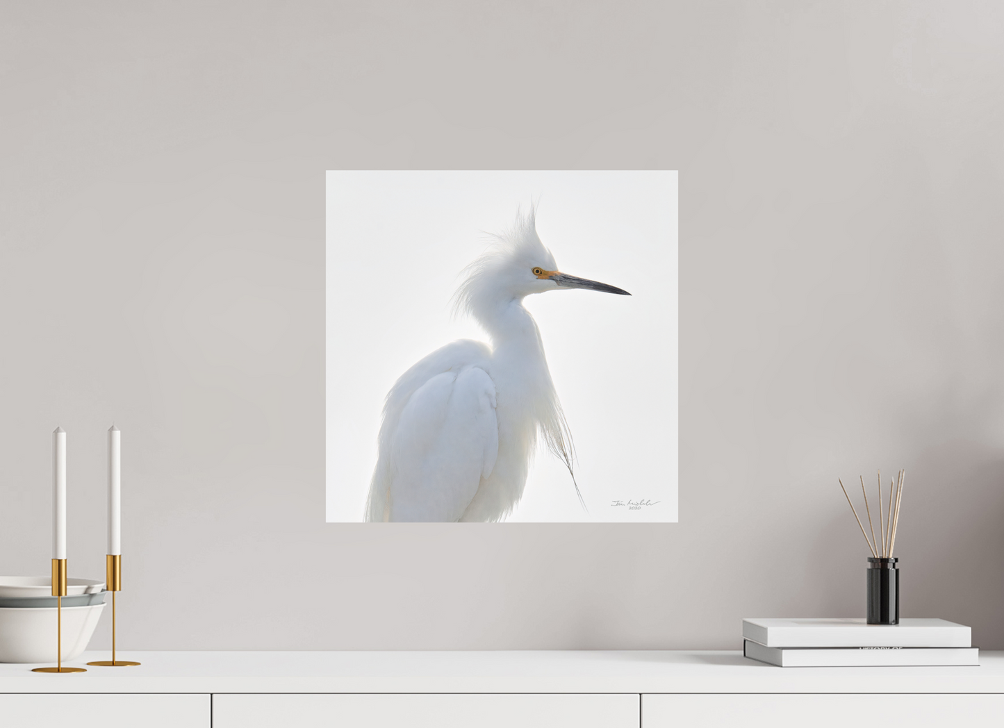 40 x 40 cm, Fuji Matt Snowy Egret, Baylands Nature Preserve, Palo Alto, California, USA, 2020