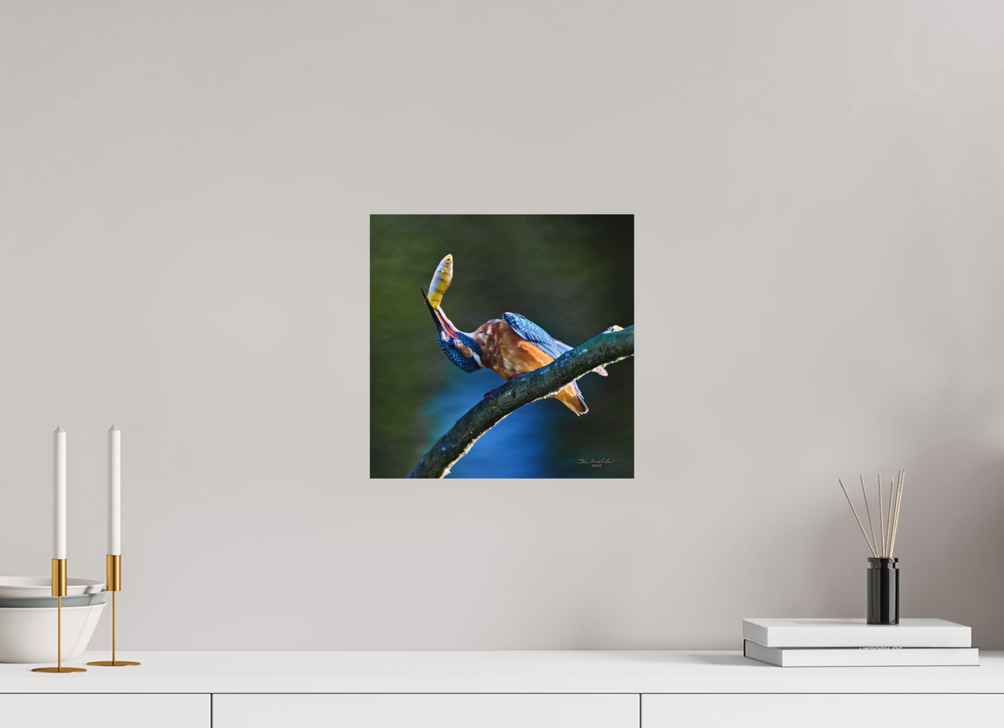 30 x 30 cm, Hahnemuhle Photo Rag Ultra Smooth Common Kingfisher IV, RSPB Lakenheath Fen, East Anglia, UK, 2024