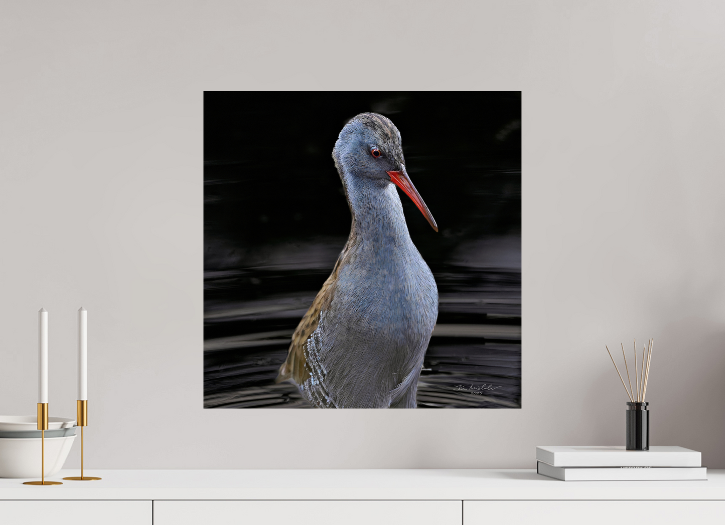 50 x 50 cm, Fuji Glossy Water Rail, RSPB Fowlmere, East Anglia, UK, 2025