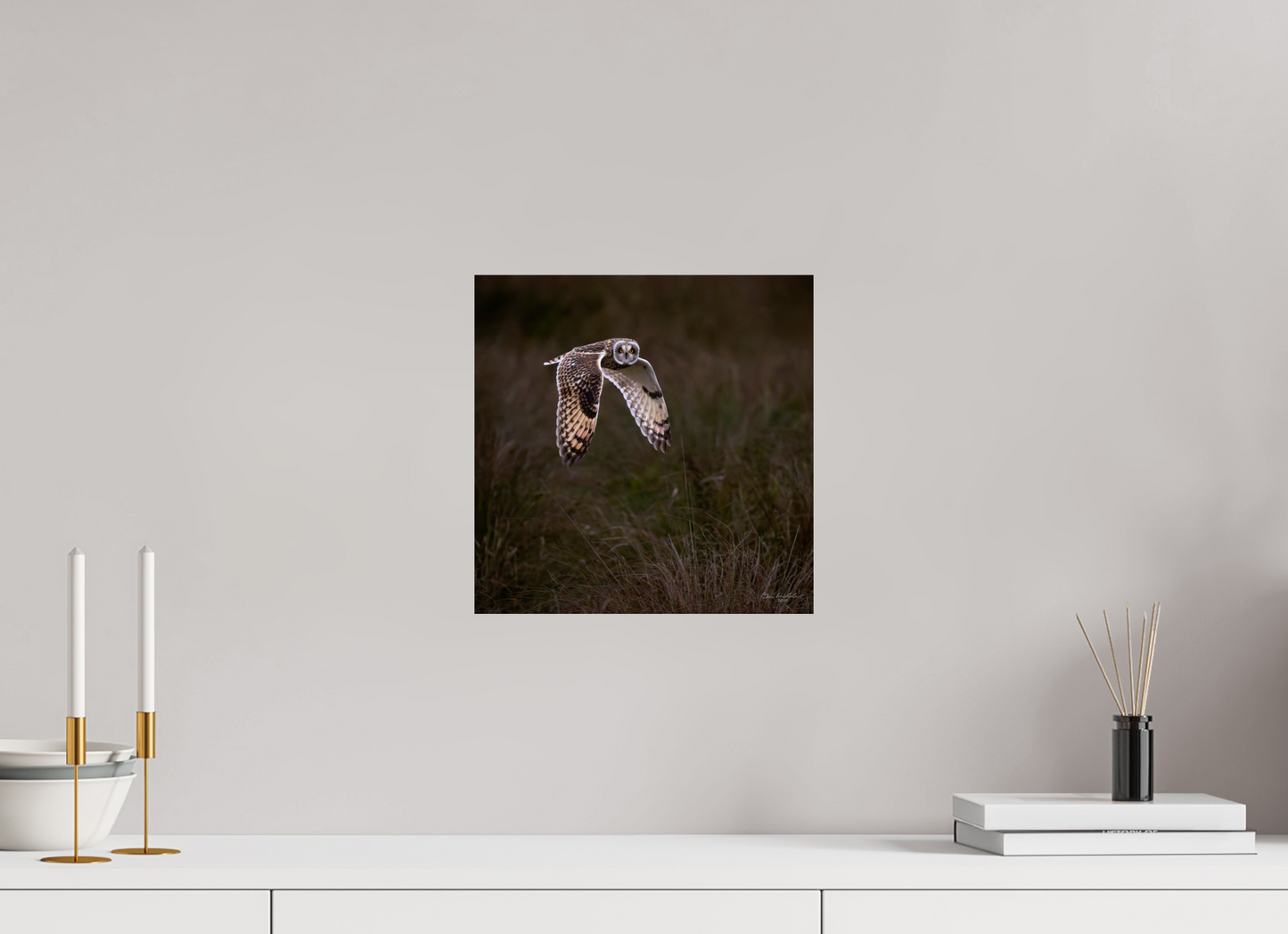 30 x 30 cm, Fuji Glossy Short Eared Owl, Burwell Fen, East Anglia, UK, 2025