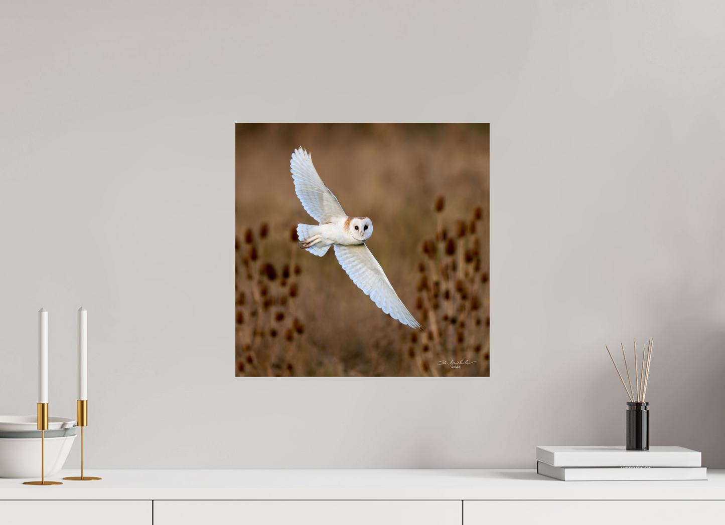 40 x 40 cm, Fuji Glossy Barn Owl, Burwell Fen, East Anglia, UK, 2025