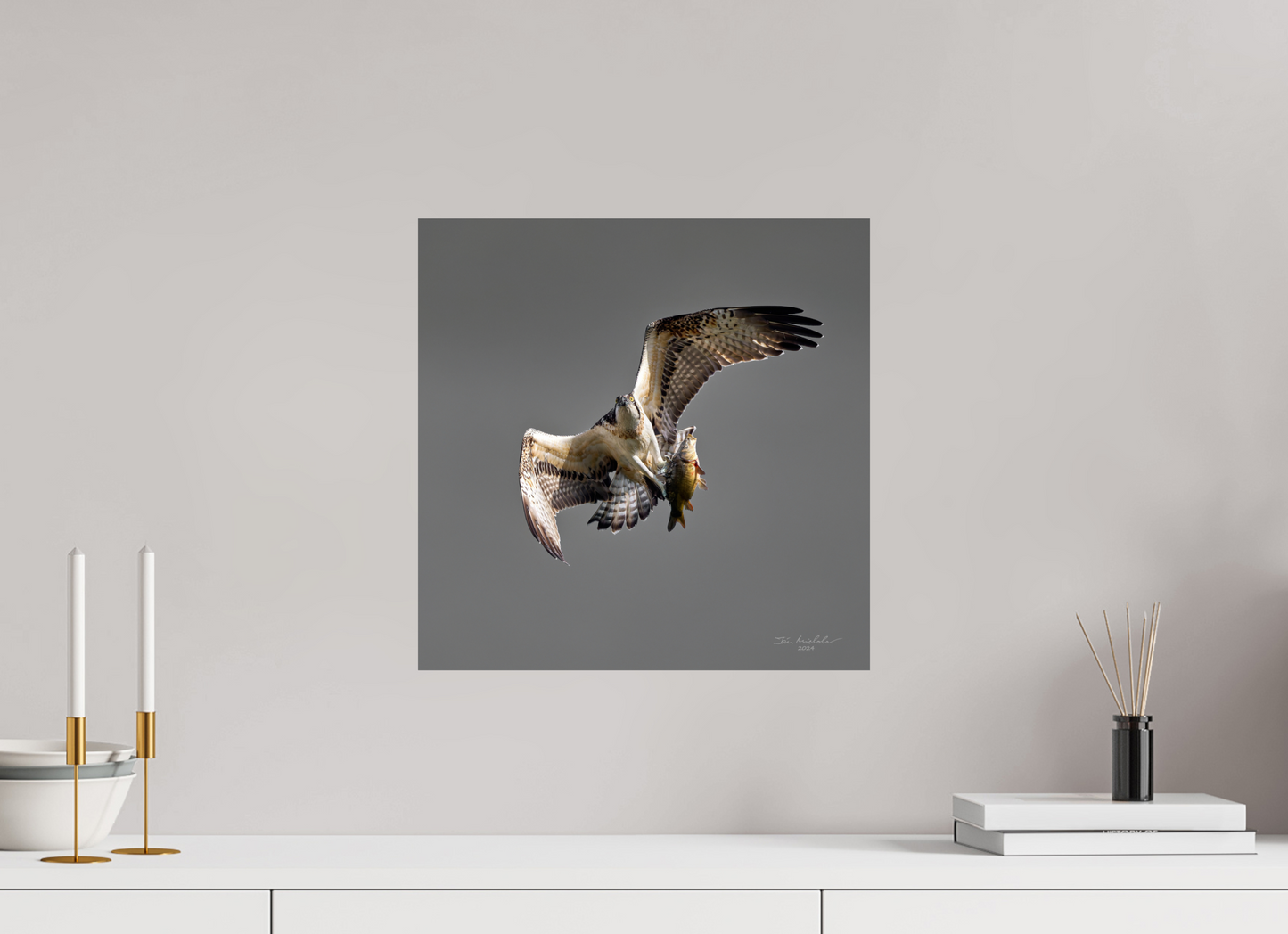 40 x 40 cm, Fuji Glossy Osprey, Milton Country Park, East Anglia, UK, 2024