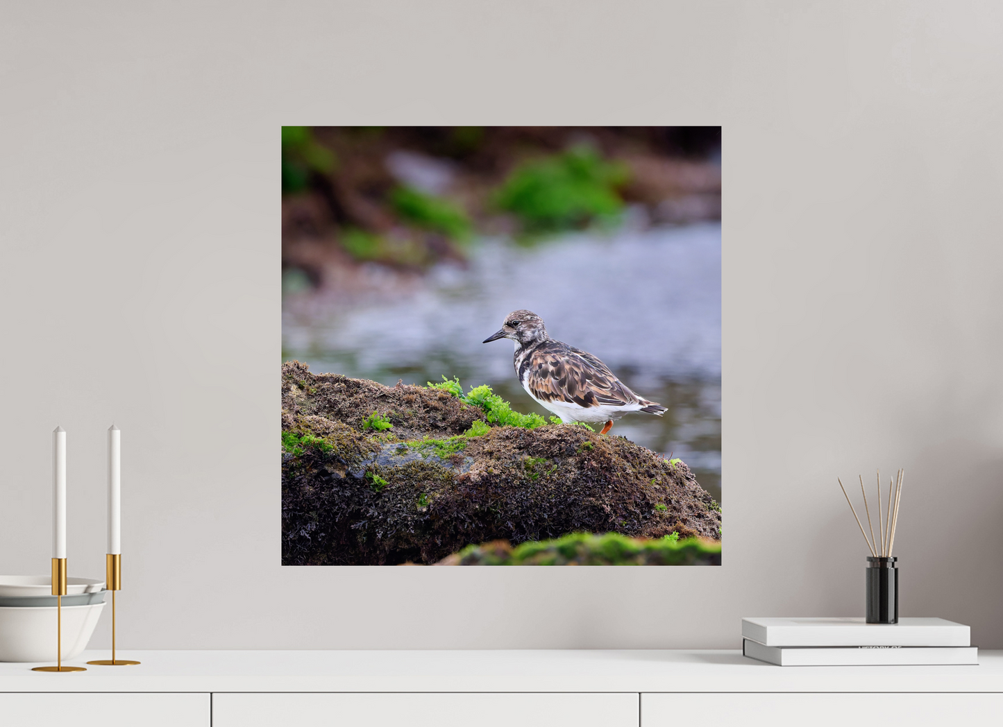 50 x 50 cm, Fuji Glossy Turnstone, Farol do Cabo Raso, Portugal, 2024