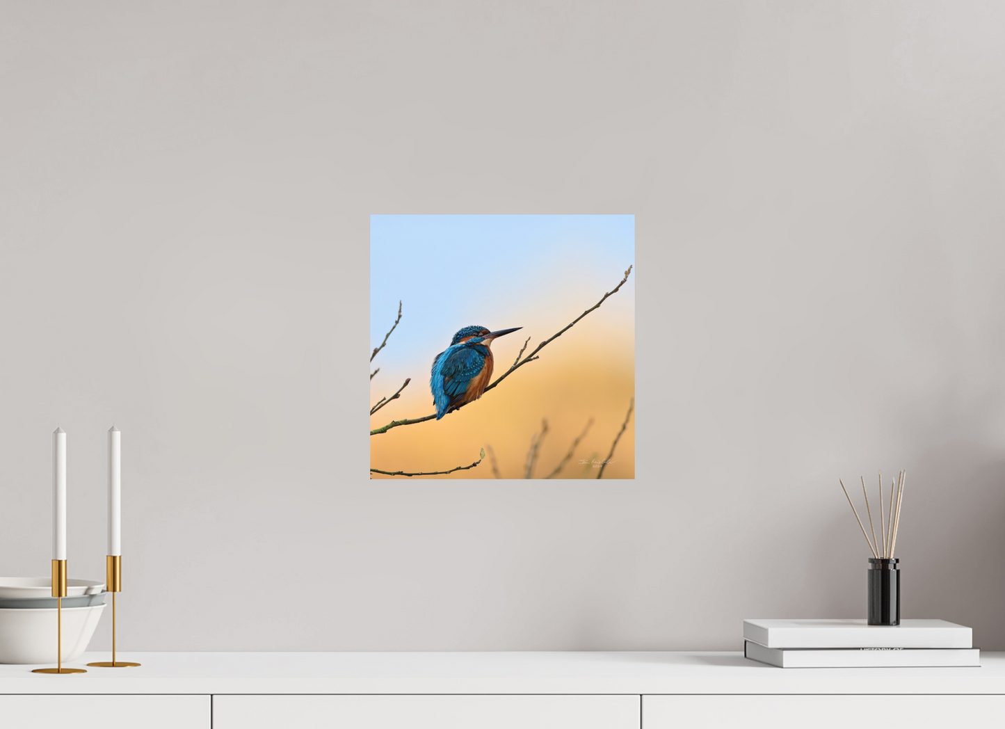 30 x 30 cm, Hahnemuhle Photo Rag Ultra Smooth Common Kingfisher II, RSPB Lakenheath Fen, East Anglia, UK, 2024