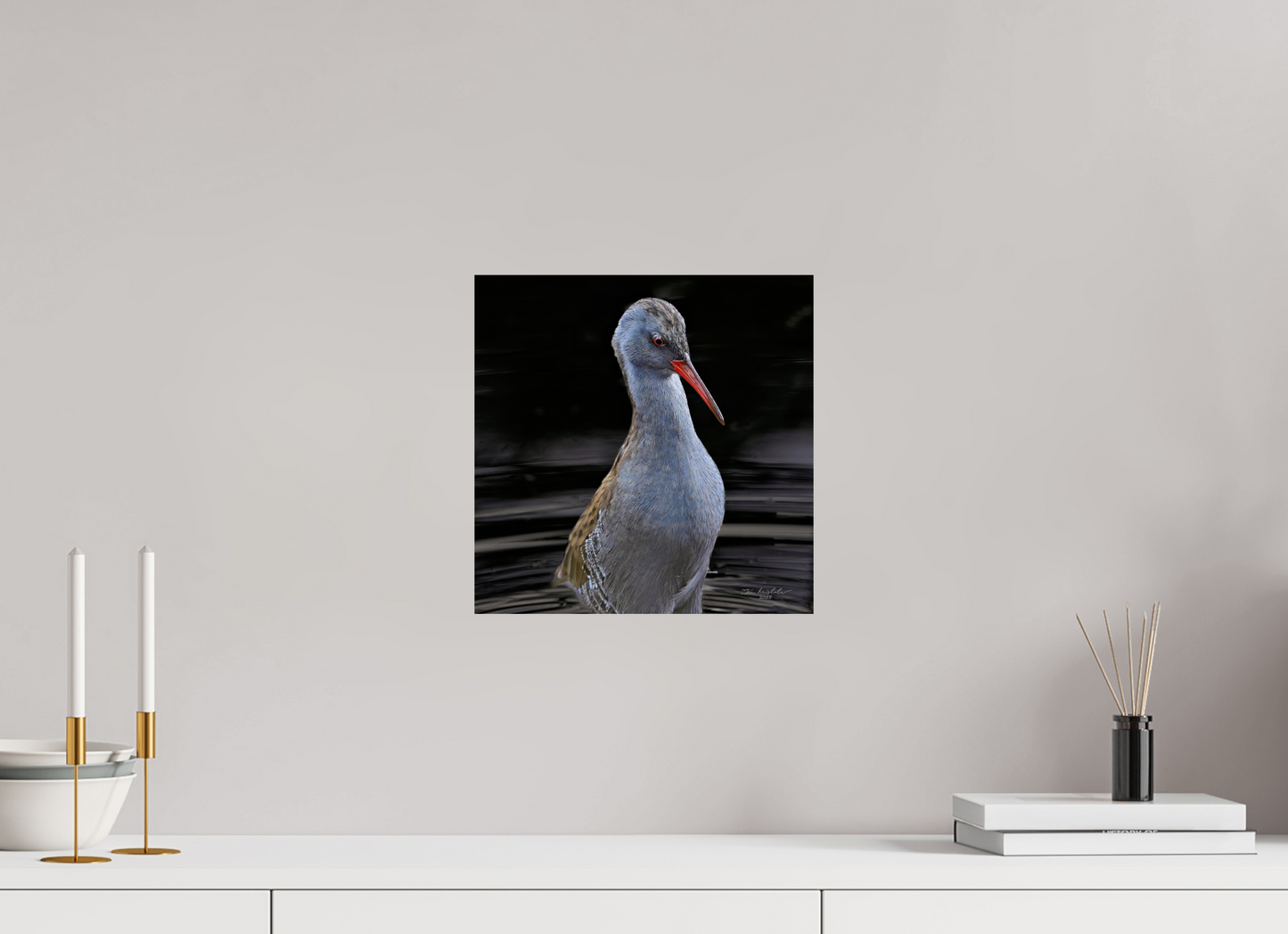 30 x 30 cm, Fuji Glossy Water Rail, RSPB Fowlmere, East Anglia, UK, 2025