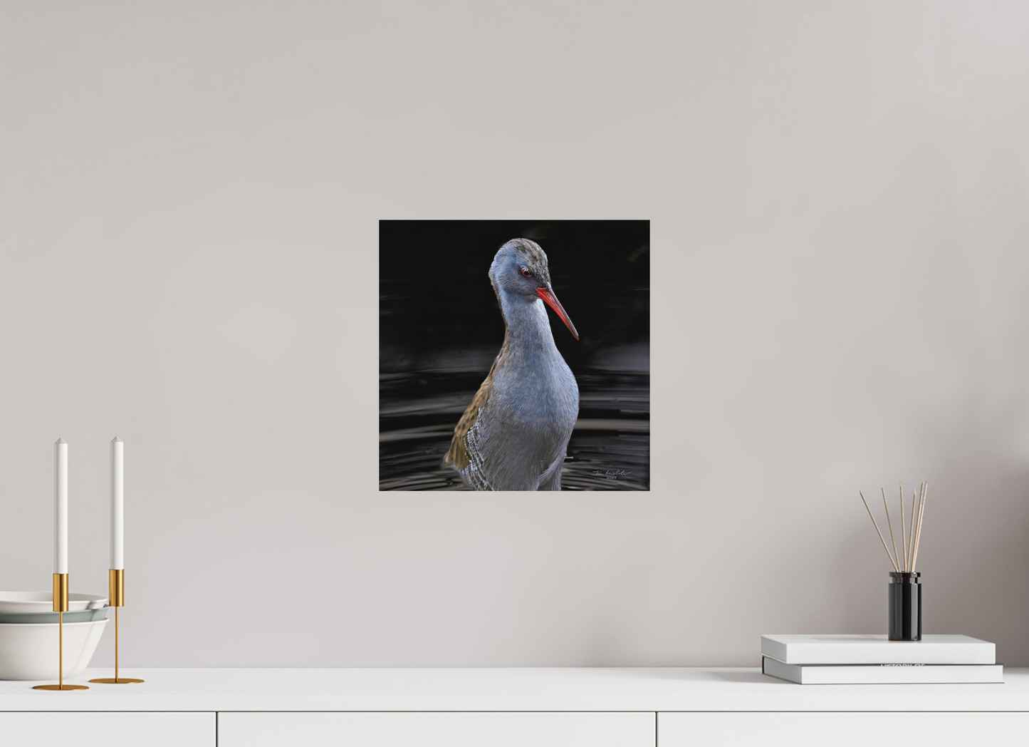 30 x 30 cm, Hahnemuhle Photo Rag Ultra Smooth Water Rail, RSPB Fowlmere, East Anglia, UK, 2025