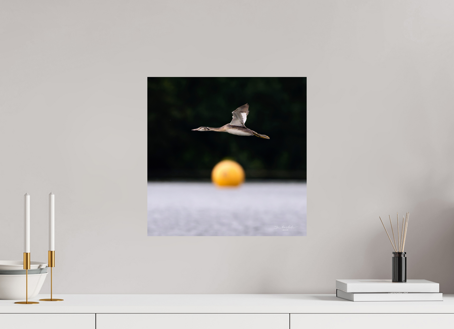 40 x 40 cm, Fuji Glossy Great Crested Grebe, Pennington Flash, Greater Manchester, UK, 2024