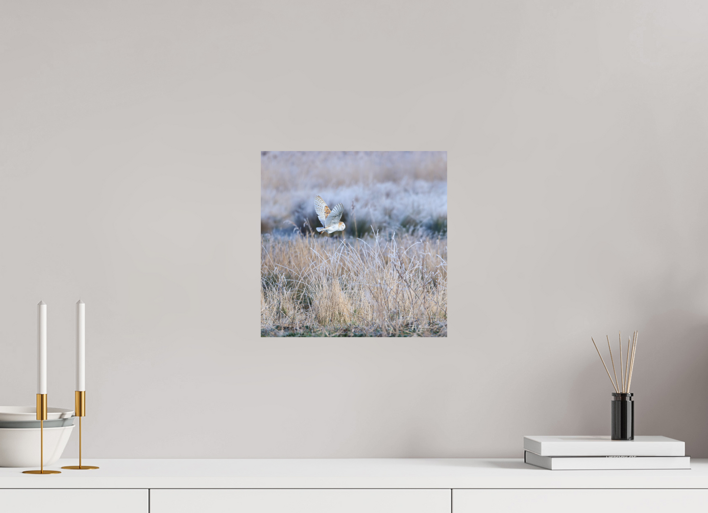 30 x 30 cm, Fuji Glossy Barn Owl, Burwell Fen, East Anglia, UK, 2025