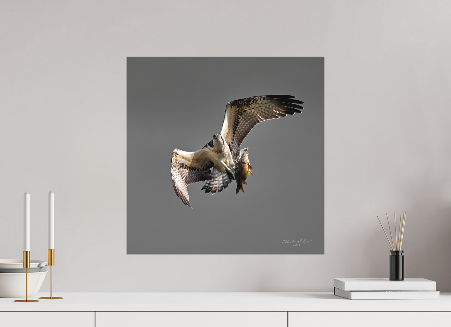 50 x 50 cm, Fuji Matt Osprey, Milton Country Park, East Anglia, UK, 2024