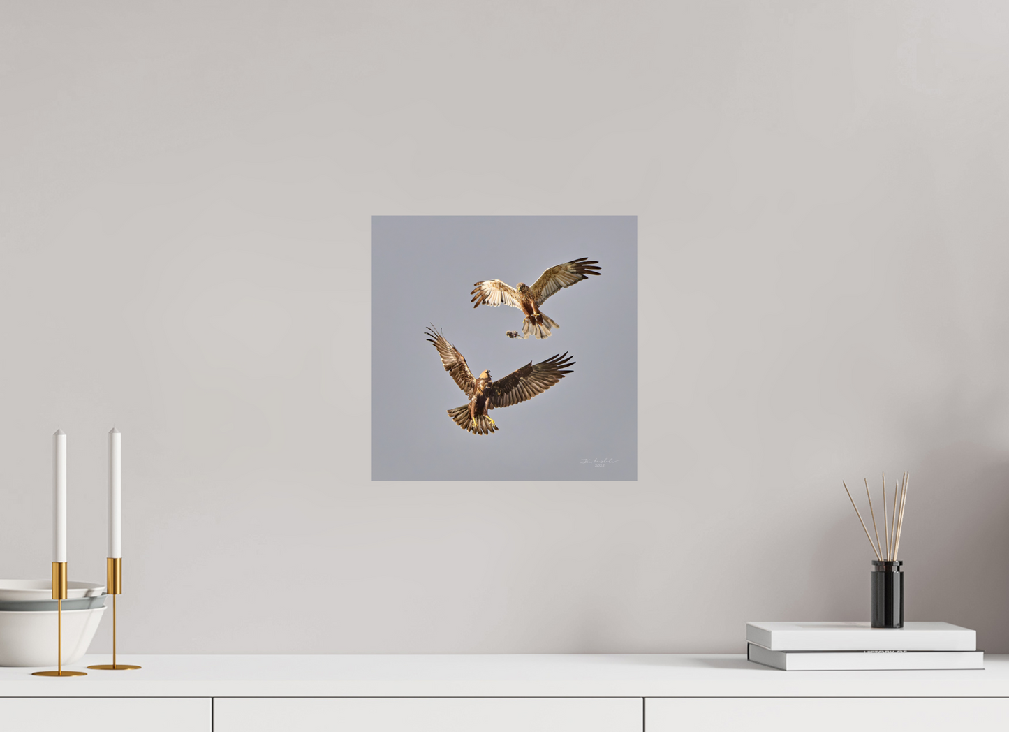 30 x 30 cm, Fuji Glossy Marsh Harriers II, RSPB Fowlmere, East Anglia, UK, 2025