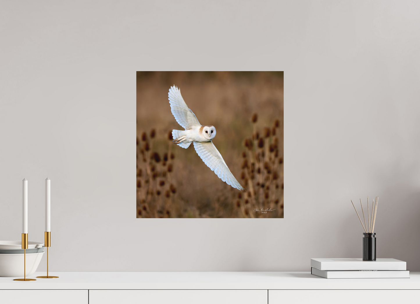 40 x 40 cm, Fuji Matt Barn Owl, Burwell Fen, East Anglia, UK, 2025