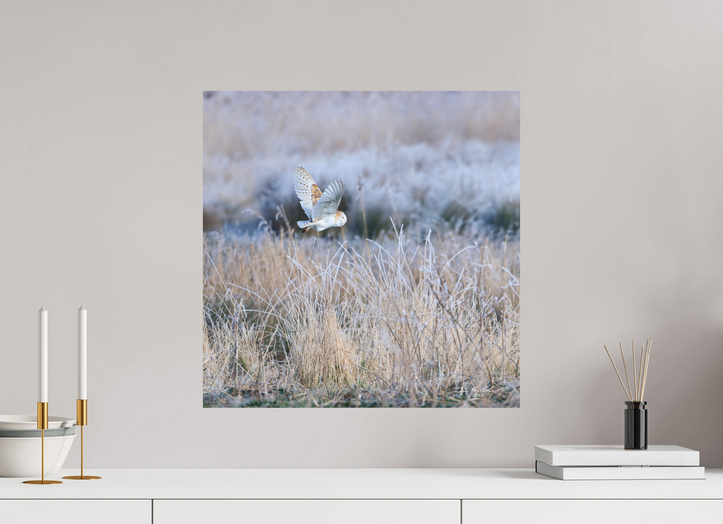 50 x 50 cm, Hahnemuhle Photo Rag Ultra Smooth Barn Owl, Burwell Fen, East Anglia, UK, 2025