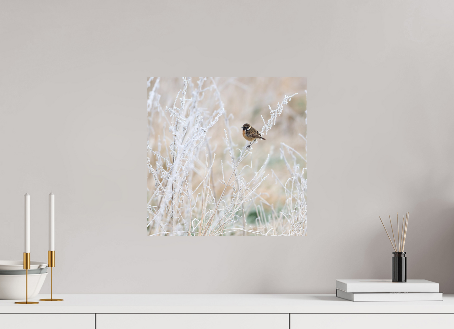 40 x 40 cm, Fuji Matt Stonechat, Burwell Fen, East Anglia, UK, 2025