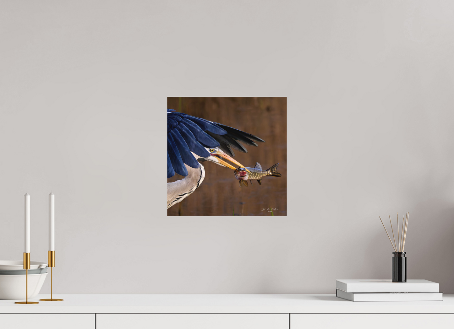 30 x 30 cm, Hahnemuhle Photo Rag Ultra Smooth Grey Heron with Pike, RSPB Fowlmere, East Anglia, UK, 2025