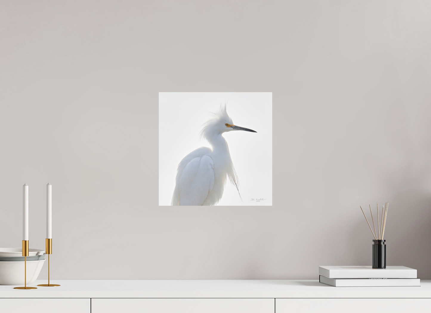 30 x 30 cm, Fuji Glossy Snowy Egret, Baylands Nature Preserve, Palo Alto, California, USA, 2020
