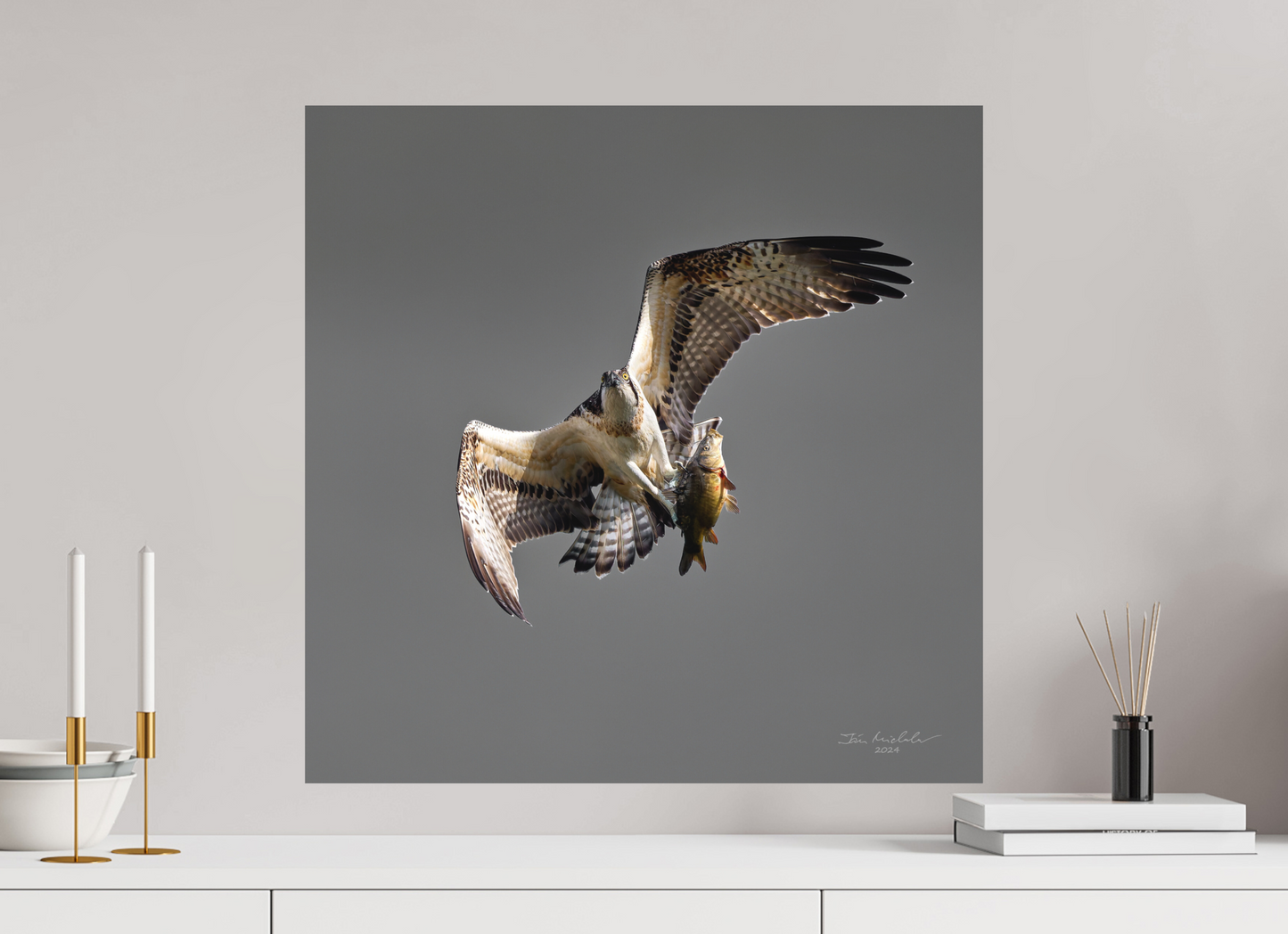 60 x 60 cm, Hahnemuhle Photo Rag Ultra Smooth Osprey, Milton Country Park, East Anglia, UK, 2024
