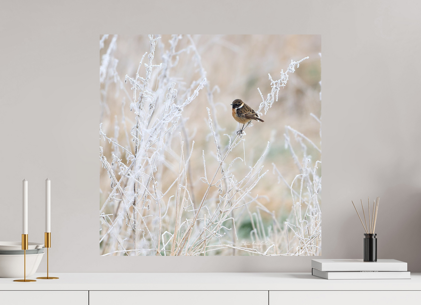 60 x 60 cm, Fuji Matt Stonechat, Burwell Fen, East Anglia, UK, 2025