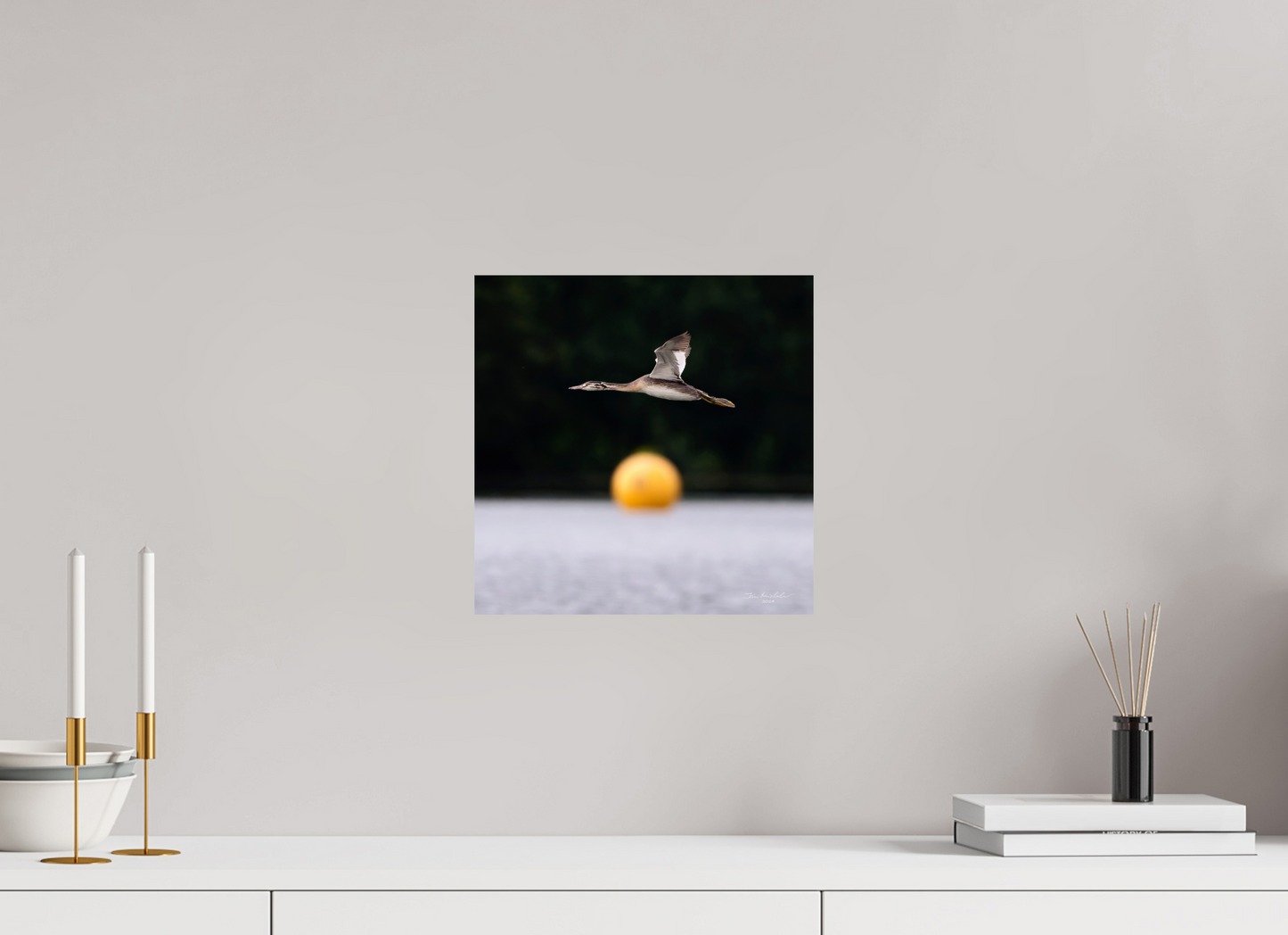30 x 30 cm, Fuji Glossy Great Crested Grebe, Pennington Flash, Greater Manchester, UK, 2024