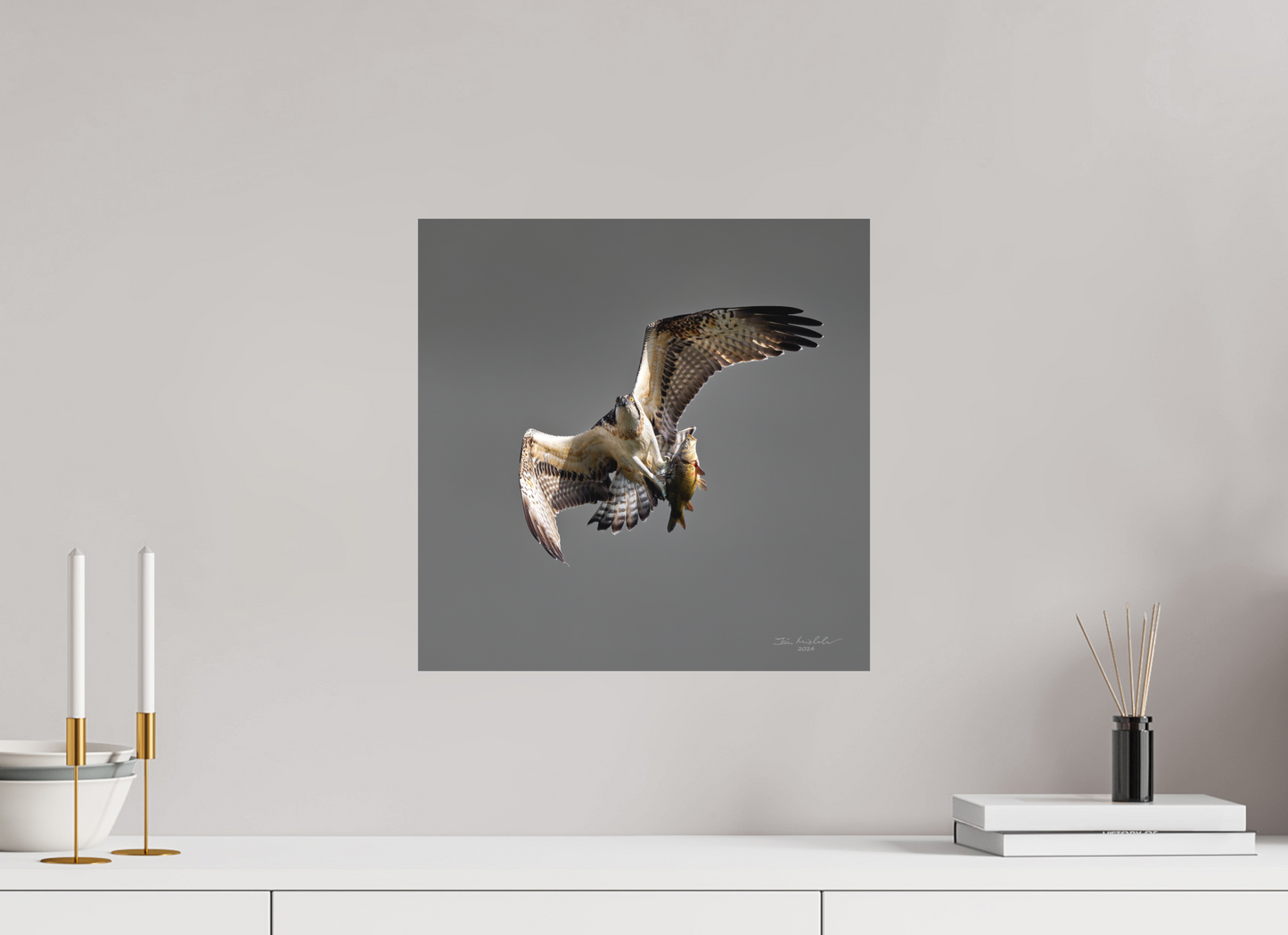 40 x 40 cm, Hahnemuhle Photo Rag Ultra Smooth Osprey, Milton Country Park, East Anglia, UK, 2024