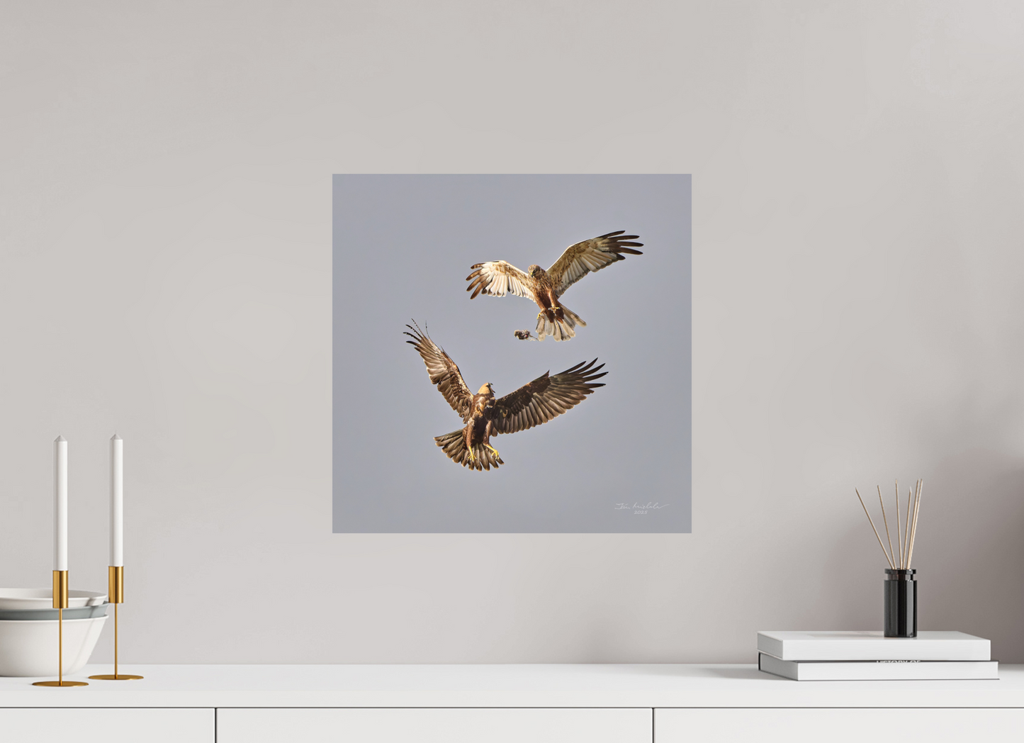 40 x 40 cm, Fuji Matt Marsh Harriers II, RSPB Fowlmere, East Anglia, UK, 2025