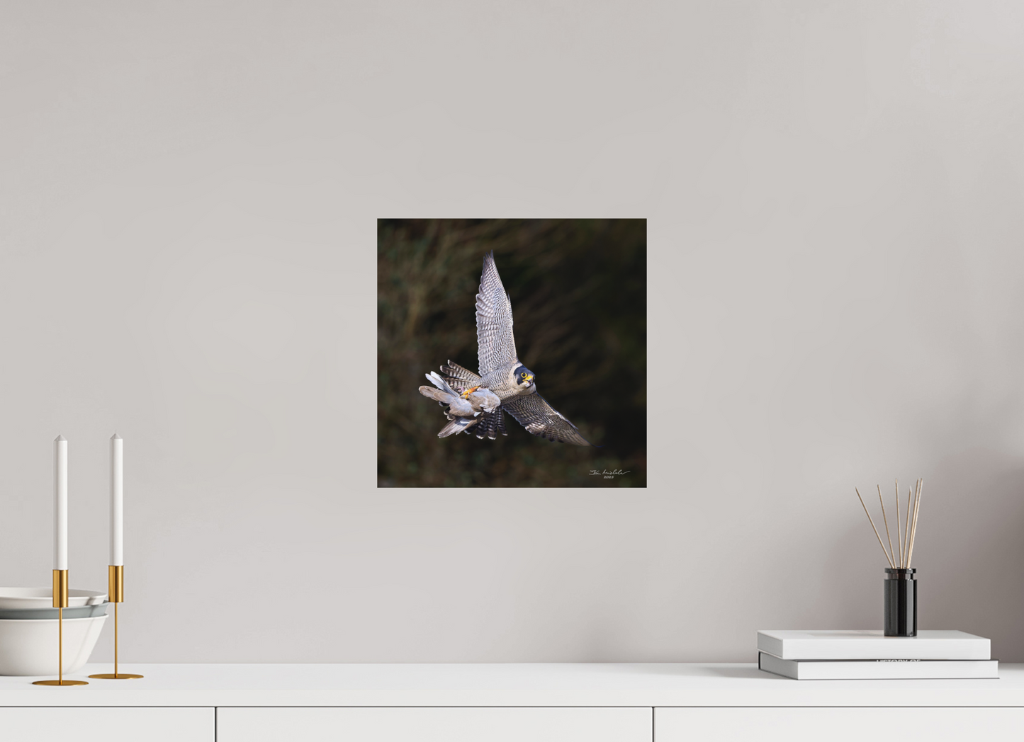 30 x 30 cm, Hahnemuhle Photo Rag Ultra Smooth Peregrine Falcon, Cambridge, UK, 2025