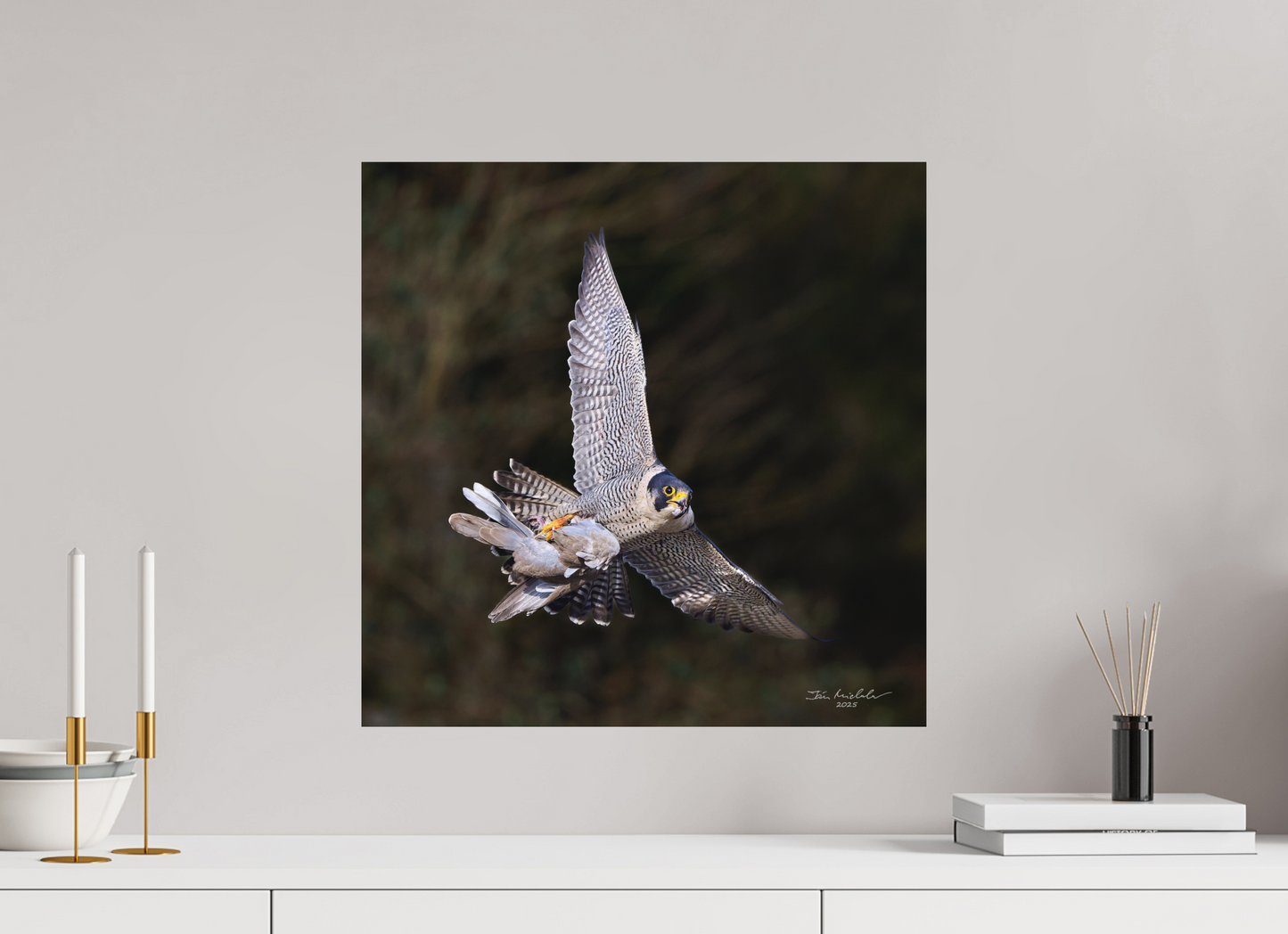 50 x 50 cm, Hahnemuhle Photo Rag Ultra Smooth Peregrine Falcon, Cambridge, UK, 2025