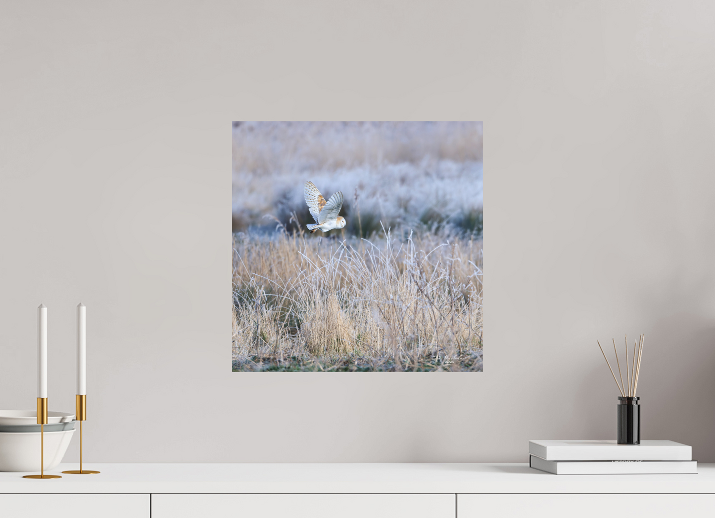 40 x 40 cm, Fuji Matt Barn Owl, Burwell Fen, East Anglia, UK, 2025
