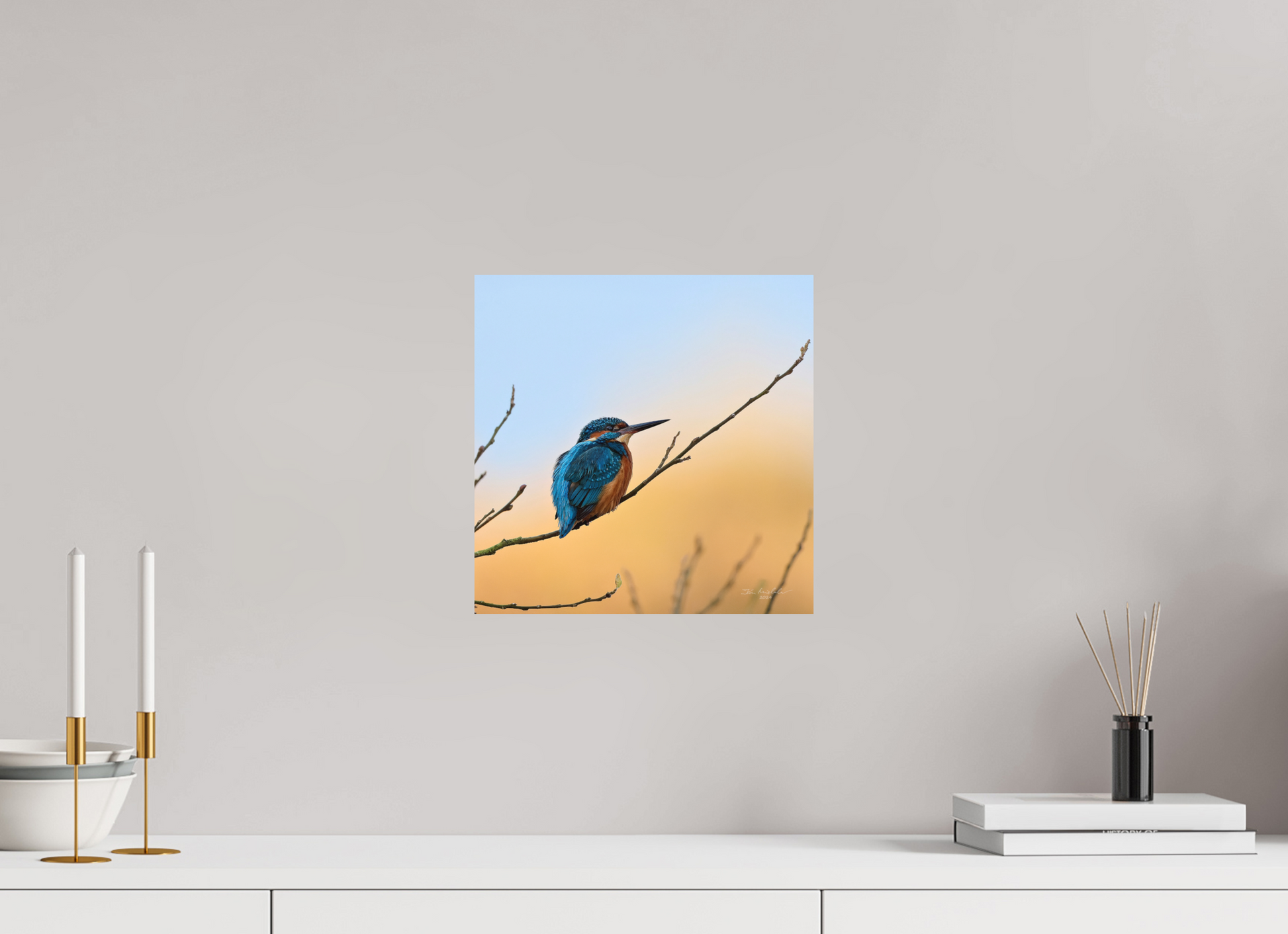 30 x 30 cm, Fuji Matt Common Kingfisher II, RSPB Lakenheath Fen, East Anglia, UK, 2024