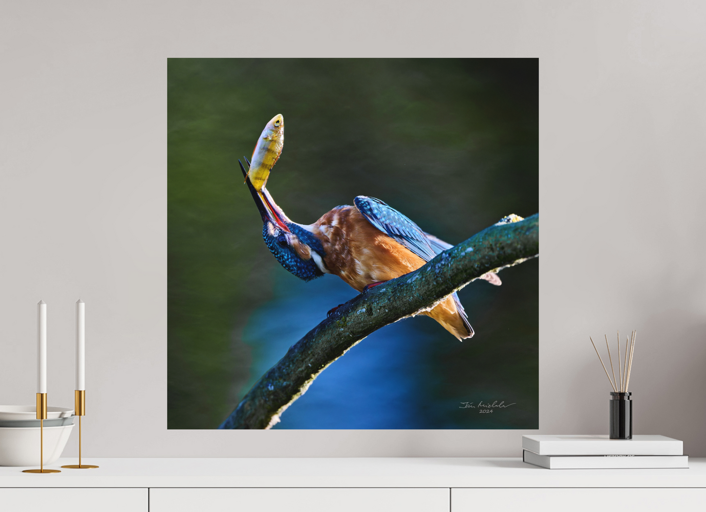 60 x 60 cm, Fuji Matt Common Kingfisher IV, RSPB Lakenheath Fen, East Anglia, UK, 2024