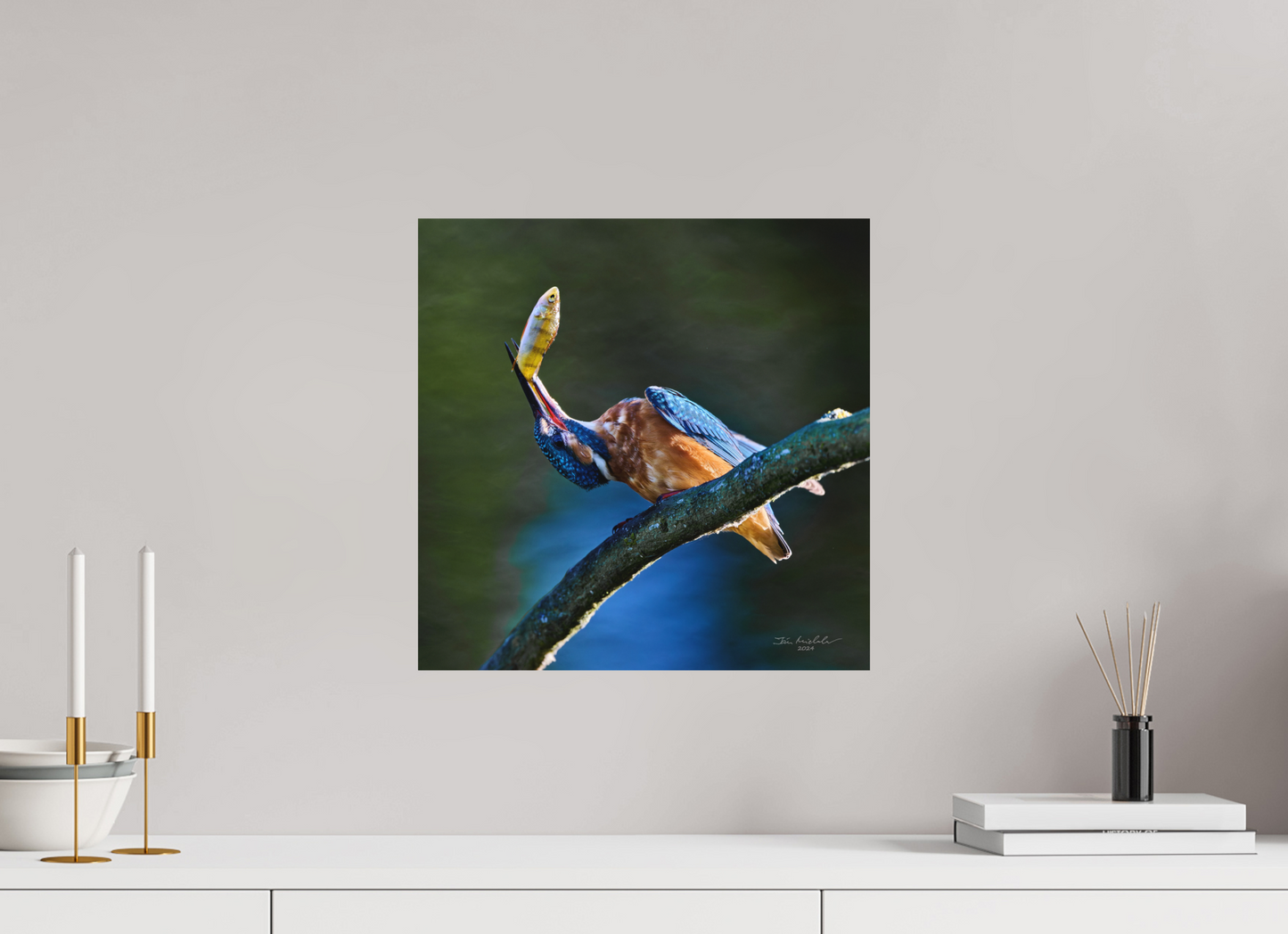 40 x 40 cm, Hahnemuhle Photo Rag Ultra Smooth Common Kingfisher IV, RSPB Lakenheath Fen, East Anglia, UK, 2024