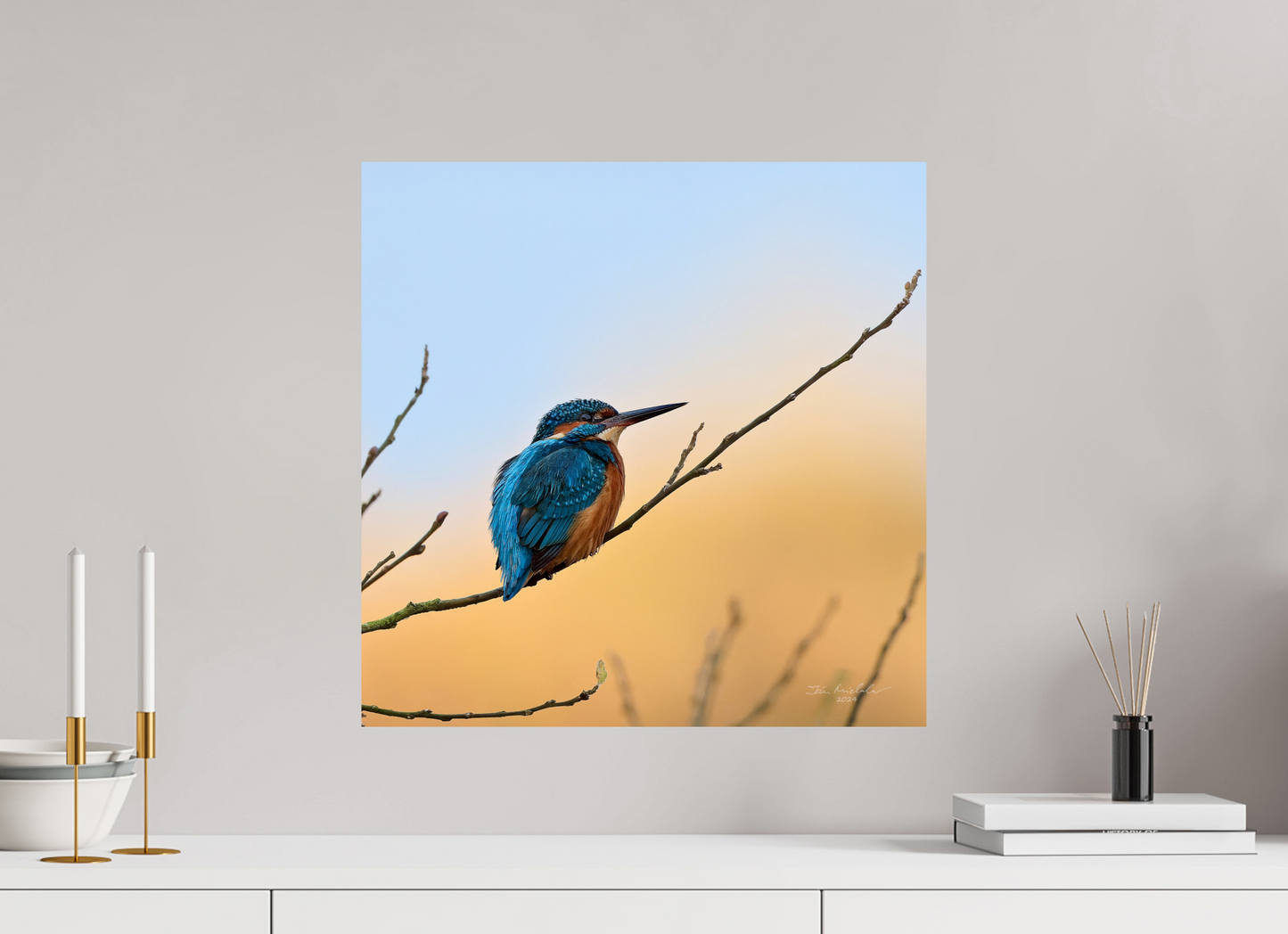 50 x 50 cm, Fuji Glossy Common Kingfisher II, RSPB Lakenheath Fen, East Anglia, UK, 2024