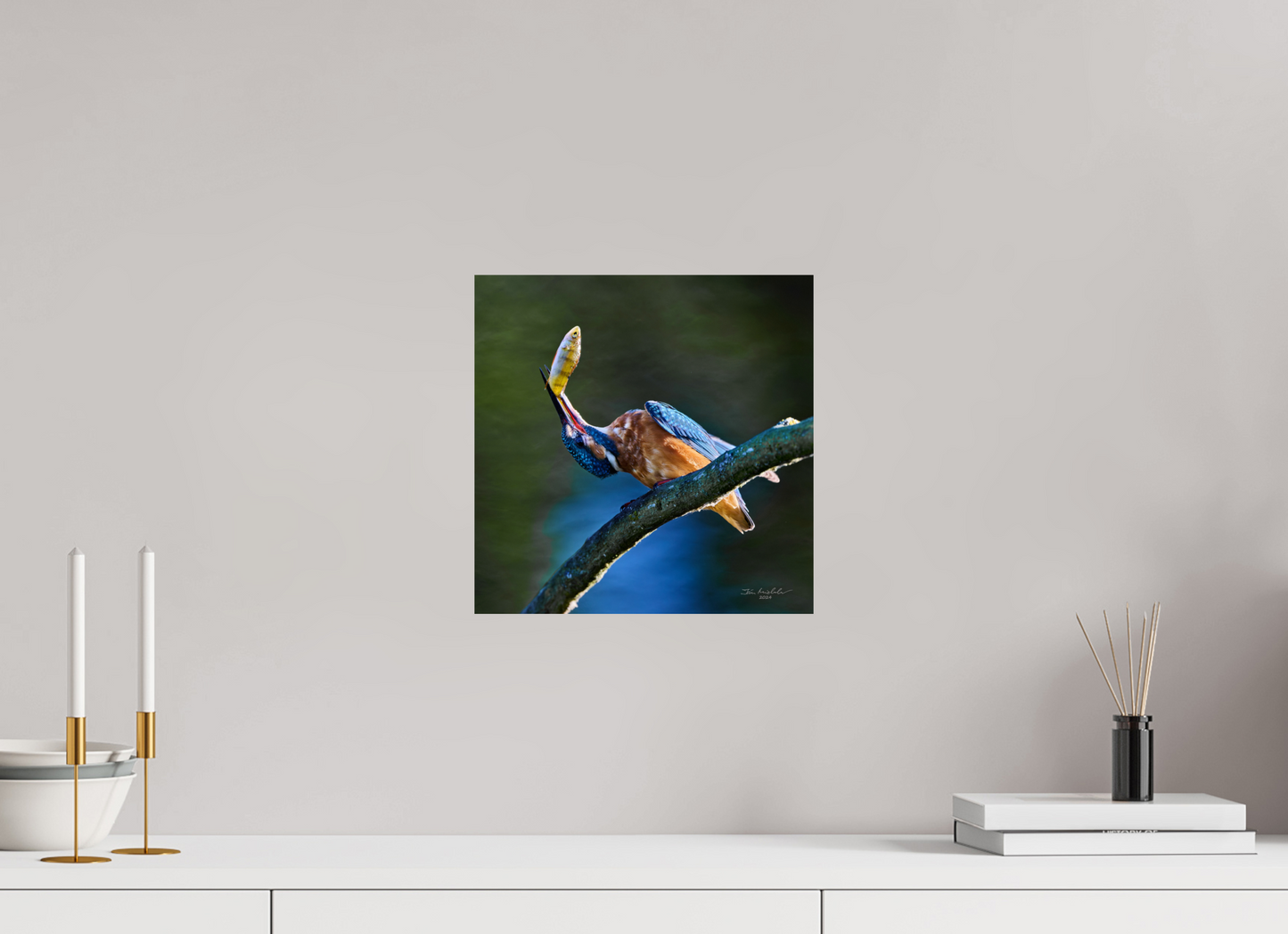 30 x 30 cm, Fuji Glossy Common Kingfisher IV, RSPB Lakenheath Fen, East Anglia, UK, 2024