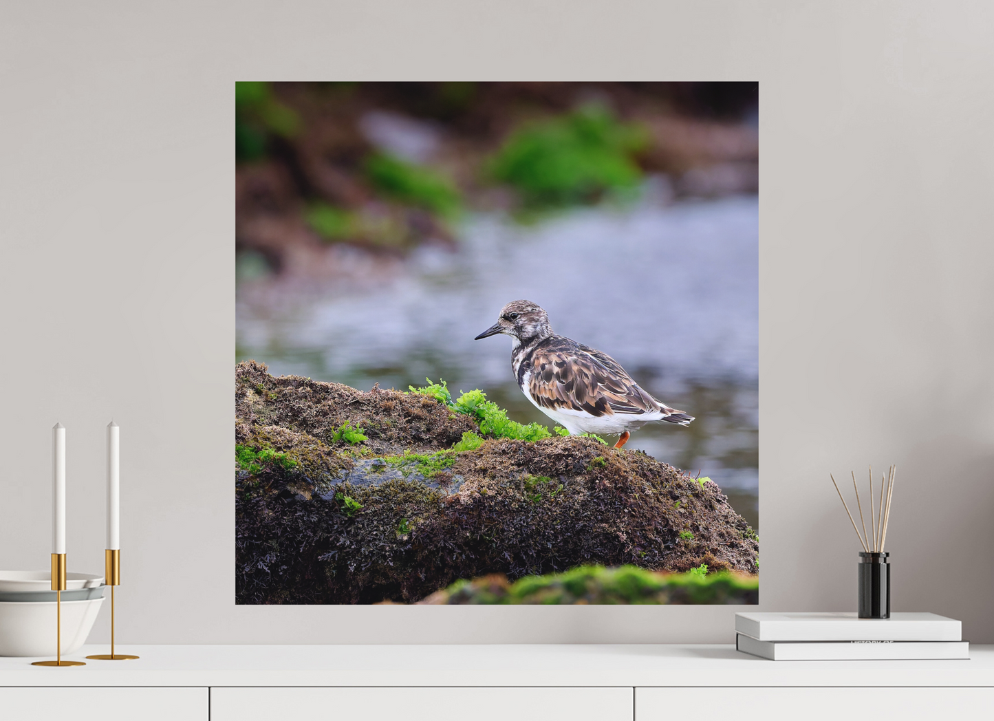 60 x 60 cm, Hahnemuhle Photo Rag Ultra Smooth Turnstone, Farol do Cabo Raso, Portugal, 2024