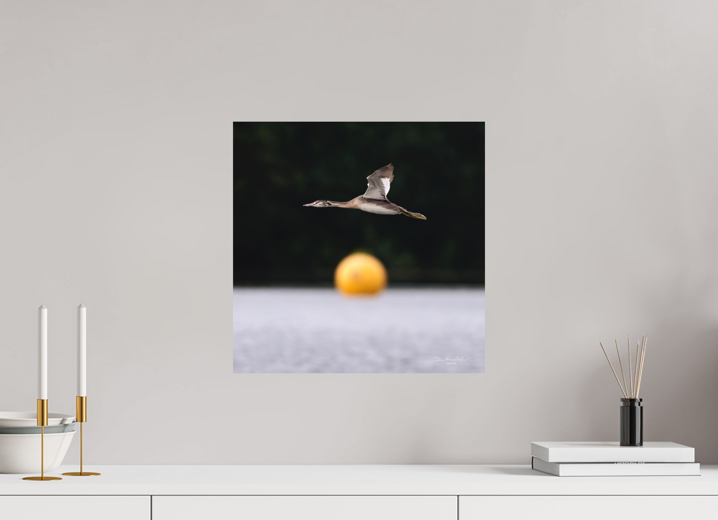40 x 40 cm, Hahnemuhle Photo Rag Ultra Smooth Great Crested Grebe, Pennington Flash, Greater Manchester, UK, 2024