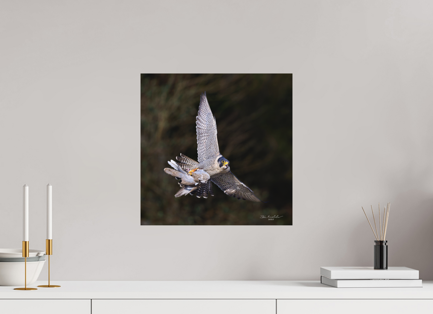 40 x 40 cm, Hahnemuhle Photo Rag Ultra Smooth Peregrine Falcon, Cambridge, UK, 2025