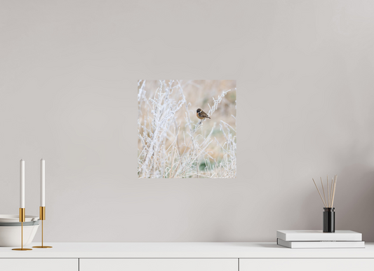 30 x 30 cm, Fuji Matt Stonechat, Burwell Fen, East Anglia, UK, 2025