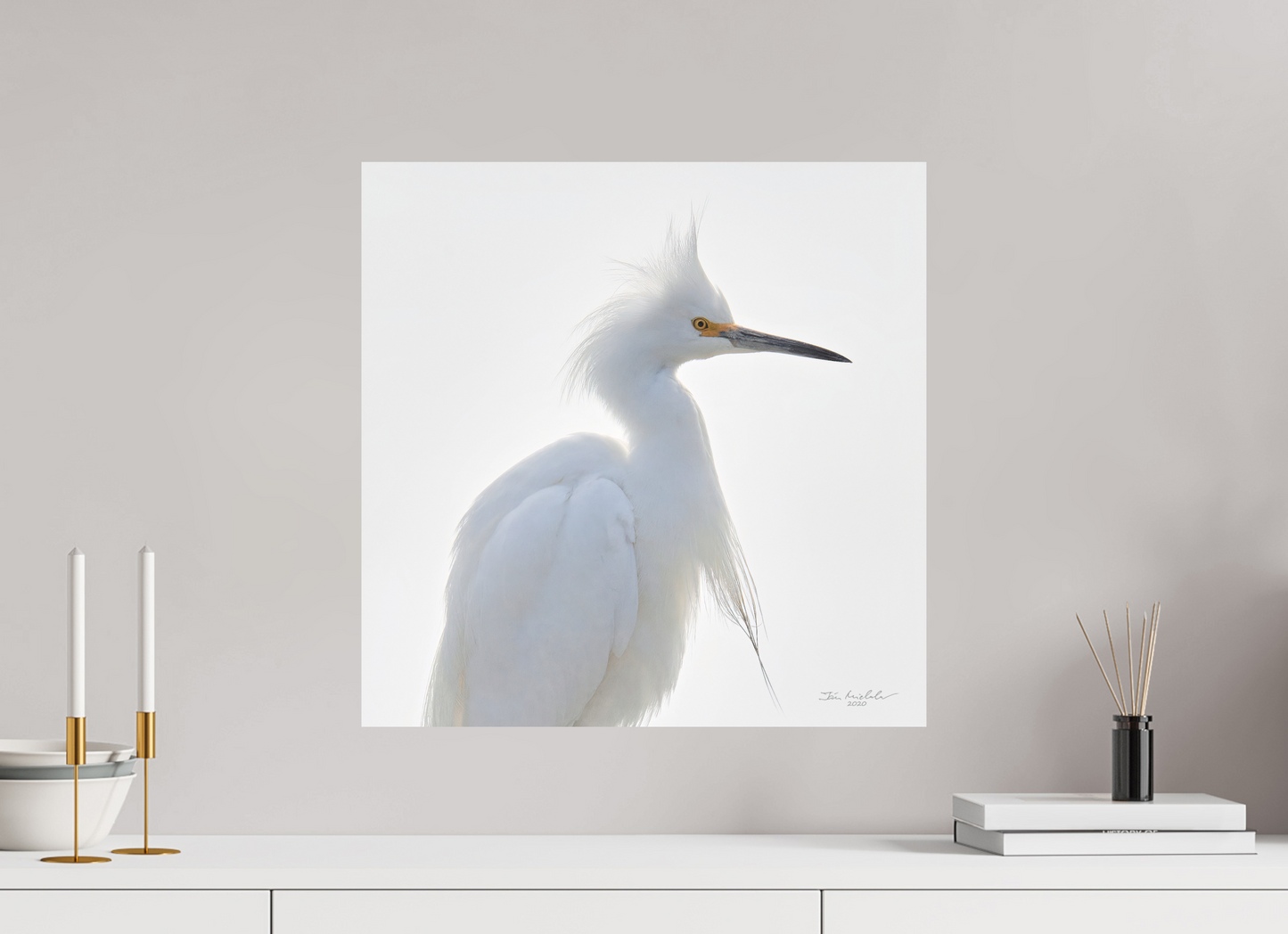 50 x 50 cm, Fuji Matt Snowy Egret, Baylands Nature Preserve, Palo Alto, California, USA, 2020