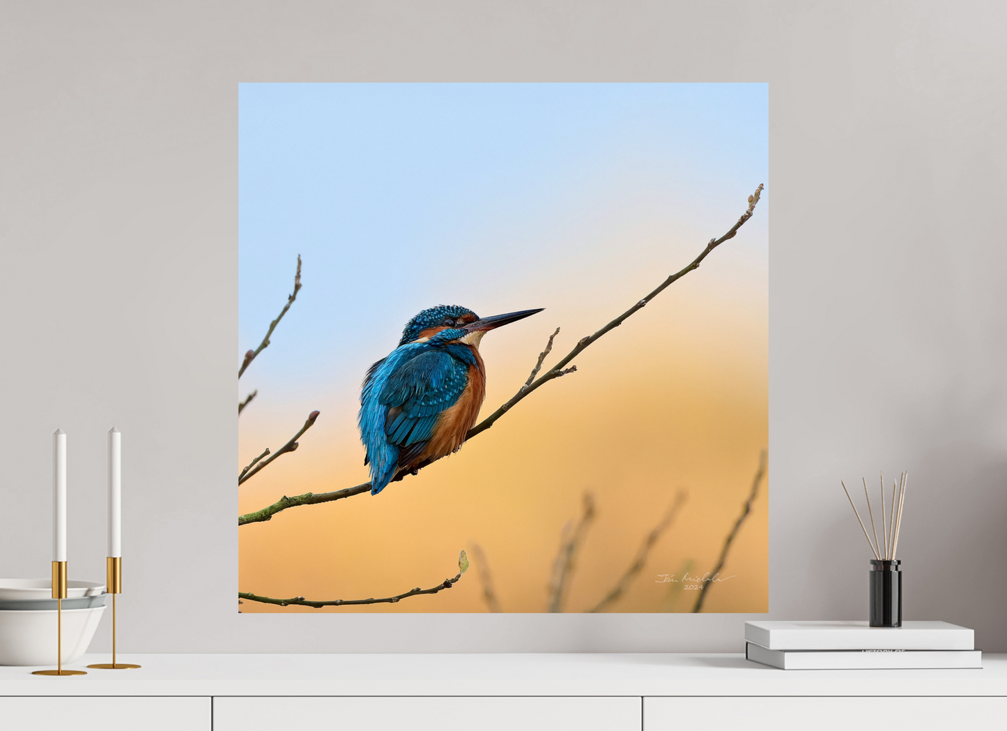 60 x 60 cm, Fuji Glossy Common Kingfisher II, RSPB Lakenheath Fen, East Anglia, UK, 2024
